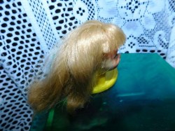 francie head blonde a